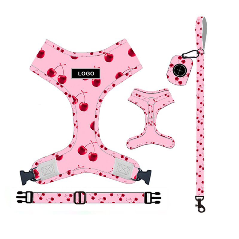 Premium Pink Dog Leash Set with Harness - Image 2