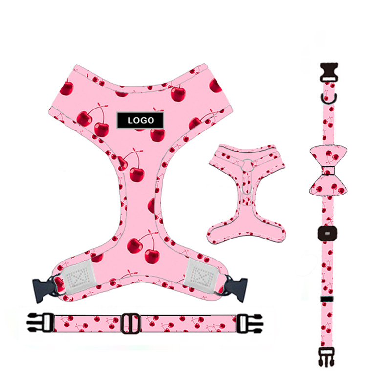 Premium Pink Dog Leash Set with Harness - Image 3