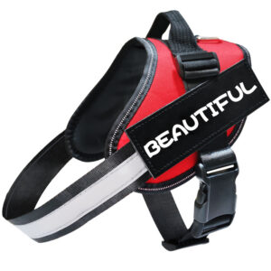 Reflective Dog Harness Chest Strap - All Sizes