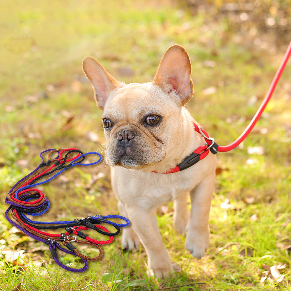 Premium Nylon Dog Leash - All Sizes