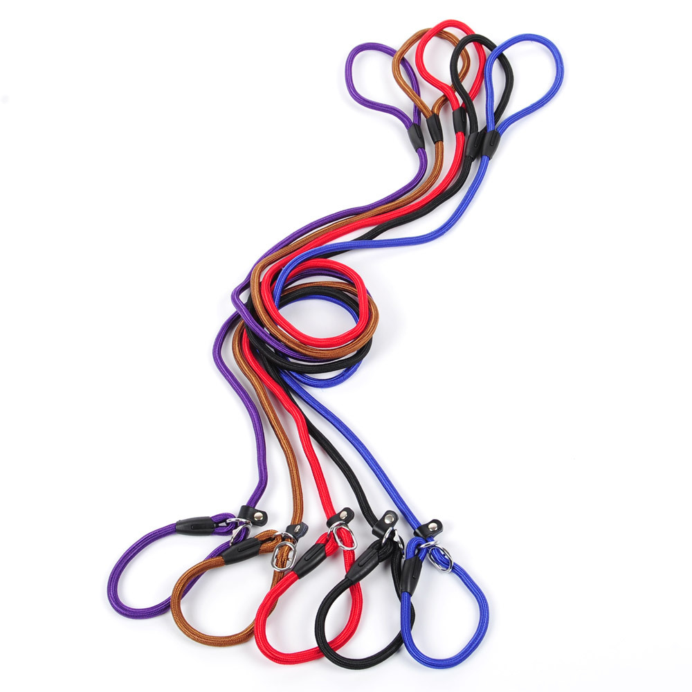 Premium Nylon Dog Leash - All Sizes - Image 2