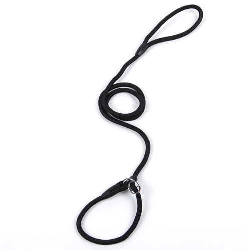 Premium Nylon Dog Leash - All Sizes - Image 3